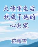大佬重生后我成了她的心尖宠