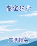 鉴宝狂少推荐小说