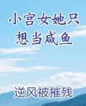 小宫女只想出宫逃命格格党