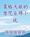 霍格沃兹的禁咒巫师小说