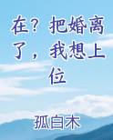 在？把婚离了，我想上位