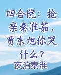 四合院：抢亲秦淮茹，贾东旭你哭什么？小说下载