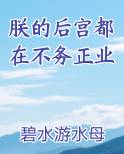 朕的后宫都在不务正业笔下文学