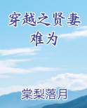 穿越之贤妻难为