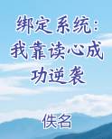 绑定系统小说