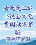 江晚离唐霄祁小说