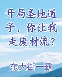 开局圣地道子，你让我走废材流？小说全文免费阅读
