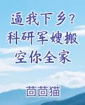 逼我下乡？科研军嫂搬空你全家在线阅读无弹窗