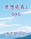 梦想成真2.0(H)