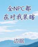 npc每天都在被攻略作者:观浅