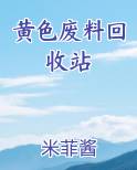 黄色的废料什么意思
