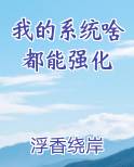 我的系统啥都能强化