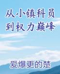 从小镇科员到权力巅峰
