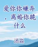 爱你你嫌弃,离婚你跪什么免费阅读