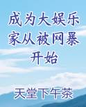 成为大娱乐家从被网暴开始
