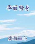 华丽转身小说全集