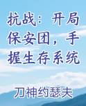 抗战：开局保安团，手握生存系统