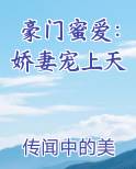 豪门婚宠:娇妻宠入怀