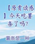【原赏读感】今天吃薯条了吗？小说全文免费阅读