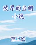 彼岸的当铺小说