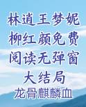 主人公叫林逍遥的小说