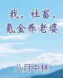 我，社畜，氪金养老婆全文阅读