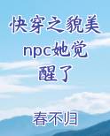 快穿之貌美npc她觉醒了小说全文免费阅读