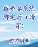 被娇妻系统绑定后（清穿）
