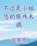 不过是小姐您的提线木偶小说全文免费阅读