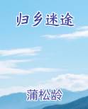 归乡迷途推荐小说