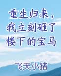 重生归来，我立刻砸了楼下的宝马小说排行榜