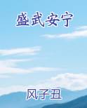 盛武安宁