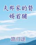 夫郎家的赘婿首辅