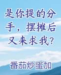 是你提的分手，摆摊后又来求我？